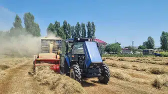 Muşlu çiftçilerin zorlu kış hazırlığı başladı