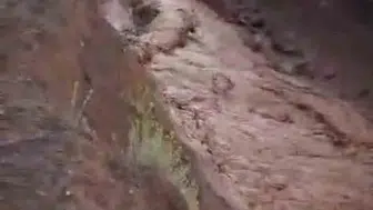 Van'ın Saray ilçesinde sel baskını yolları kapattı