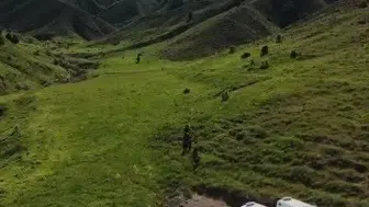 Tunceli kırsalında mantar toplayan üç kişiye ayı saldırdı