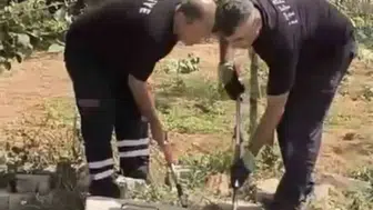 Nusaybinli vatandaşlar kuyudaki yılanı kurtardı