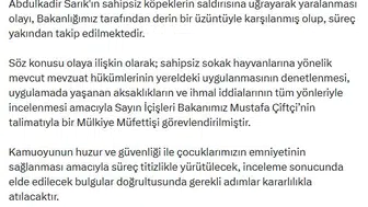 Viranşehirde köpek saldırısı sonrası müfettiş incelemesi başladı