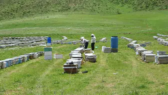 Bodrumdan Yüksekovaya Uzanan Bal Yolculuğu