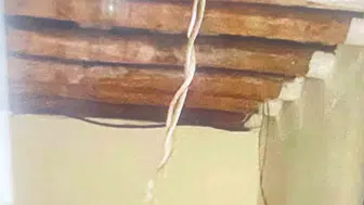 Hakkari’de toprak evde yılan alarmı