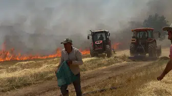 Mardinli çiftçiler tarladaki yangını büyümeden söndürdü
