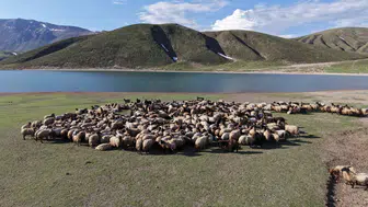 Göçerlerin serin yayla yolculuğu başladı