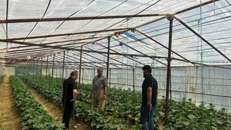 Yüksekovalı çiftçiler yeni ürünler için kolları sıvadı