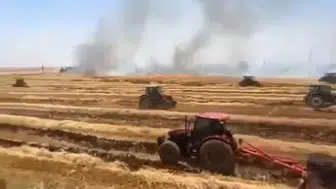 Viranşehirde anız yangını çiftçinin emeğini yaktı