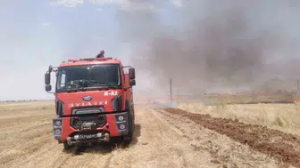 Nusaybin’de anız yangını korkuttu