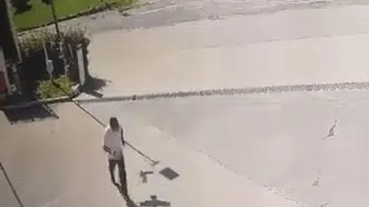 Elazığ’da karga saldırısı vatandaşa zor anlar yaşattı