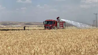 Mardin’de hasat mevsiminde 300 dönüm tarlayı yangın yuttu