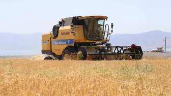 Elazığ çiftçisinin arpa hasadında yağış sürprizi