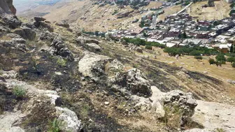 Mardin Yeşilli’de orman yangını korkuttu