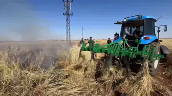 Viranşehir'de bir yıllık emek küle döndü