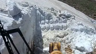 Bingöl’de mevsimler karıştı Bir yanda kar küreme bir yanda inekler