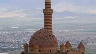 İshakpaşa Sarayı’nın kubbesinde biten otlar ziyaretçileri endişelendiriyor