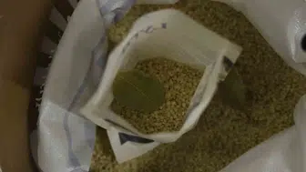 Diyarbakır’ın volkanik pirinci laboratuvar onayını aldı
