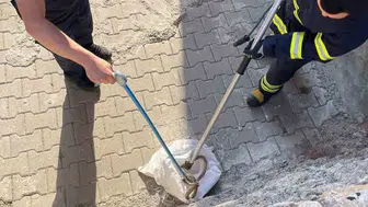 Siirt'te bahçeye giren 1,5 metrelik yılan paniğe neden oldu?