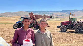 Siirt tarlalarında 40 derecede doğum günü molası