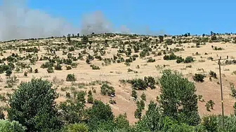 Dicle Küpetaşı’nda alevler ağaçlık alana sıçradı