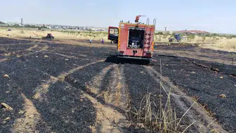 Kızıltepe'de hasat öncesi büyük yangın