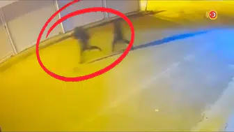 Diyarbakır merkezli suç örgütüne dev operasyon