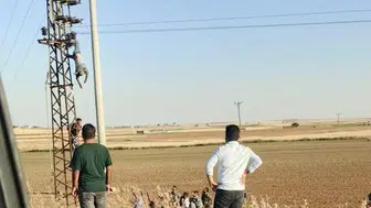 Şanlıurfa'da elektrik direğinde can pazarı yaşandı