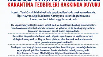 Van Edremit'te kuduz alarmı verildi