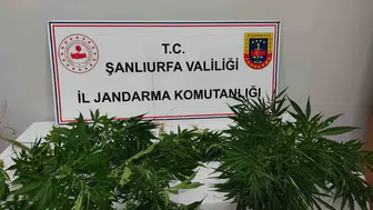 Hilvan ve Halfeti’de uyuşturucu operasyonu