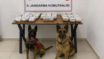 Şemdinli yolunda zehir tacirlerine jandarma operasyonu