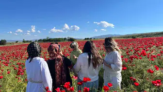 Elazığ yolunda kırmızı bir manzara şöleni başladı
