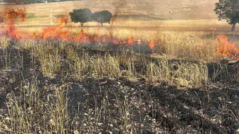 Diyarbakır Çınar’da 200 dönüm buğday kül oldu