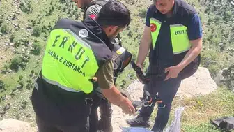Siirt’te sarp kayalıklarda mahsur kalan keçi sekiz gün sonra kurtarıldı