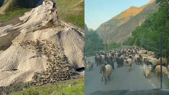 Hakkari’de yayla göçü yağış engeline takıldı