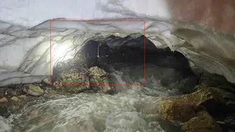 Hakkari’de kar mağarasında mahsur kalan tosun kurtarıldı