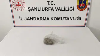 Şanlıurfa jandarmasından iki ilçede suç unsurlarına yönelik eş zamanlı operasyon