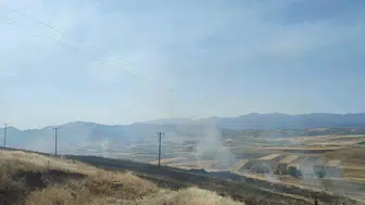 Karakoçan ilçesindeki tarım arazilerinde çıkan yangın 40 dönüm ürünü yaktı