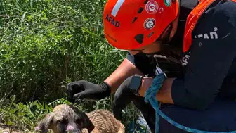 Baykan ilçesinde kuyuya sıkışan köpeği AFAD ekipleri kurtardı