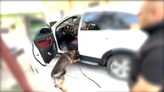 Batman polisinden narkotik köpeği Mailo ile başarılı operasyon