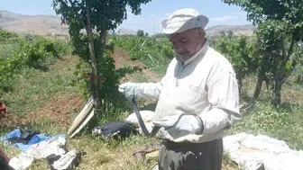 Batmanlı vatandaş bahçesinde bulduğu yılanı zarar vermeden doğaya saldı