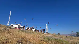 Diyarbakır doğasına kene avcısı kınalı keklikler salındı