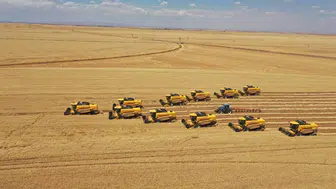 Şanlıurfa Ceylanpınar'da dev hasat operasyonu başladı
