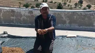 Diyarbakır Çermik'te bereketli dut sezonu tezgahlarda başladı