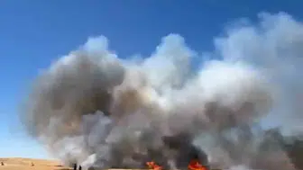 Siirt Kurtalan'da buğday tarlaları çıkan yangın sonucu büyük zarar gördü