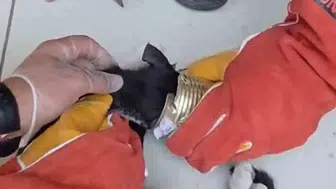 Batman'da tenekeye sıkışan kedinin yardımına itfaiye ekipleri yetişti