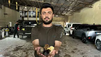 Yüksekova oto yıkama dükkanında kendi kuluçka makinesini üreterek tavukçuluk işine girdi