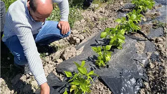 Yüksekova çiftçisinin mahsulü uzman ekipler tarafından kontrol edildi