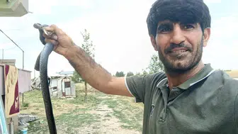 Siirtli vatandaş evine giren yılanı elleriyle yakalayıp doğaya bıraktı