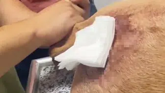 Şırnakta kaçak avcılık yapan kişiye rekor para cezası kesildi
