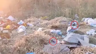 Diyarbakır Kayapınar sakinleri boş arazideki çöp yığınlarına isyan etti