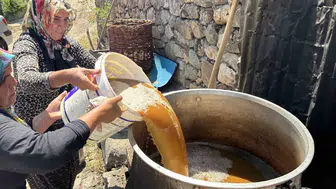 Bingöl Servi köyünde geleneksel yöntemlerle dut pekmezi üretimi başladı